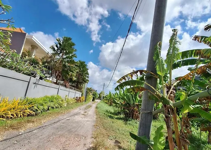 Bonewood Canggu (Bali)