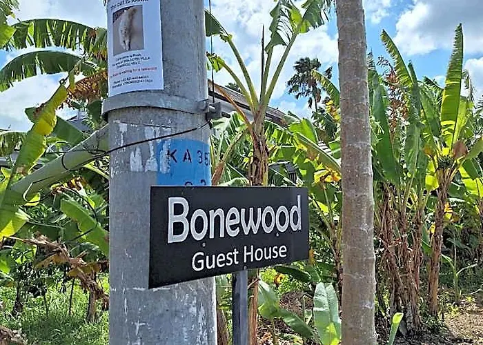 Bonewood 3* チャングー
